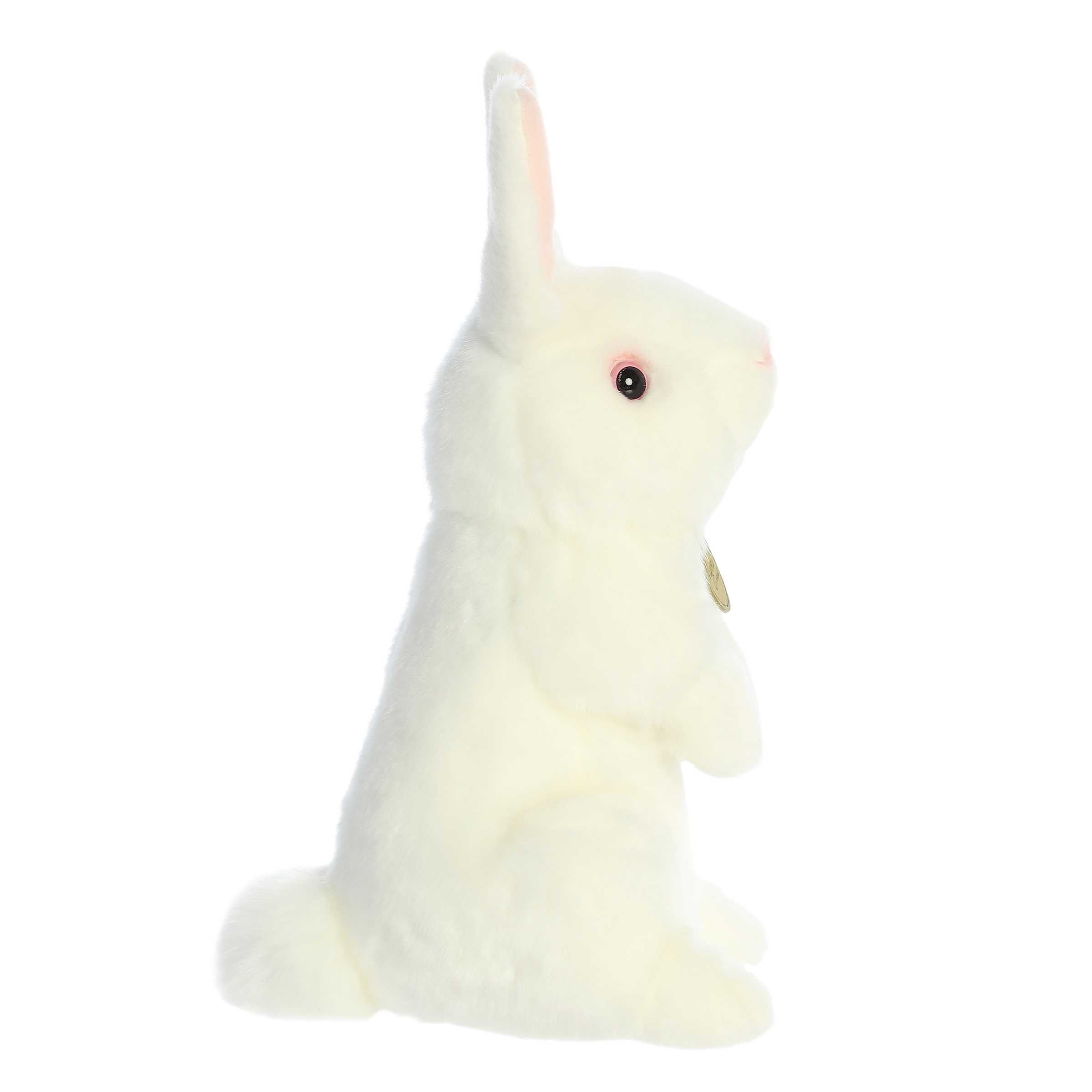 Aurora® - Miyoni® - Sitting Pretty™ - 12 American White Rabbit、mySite、g9winljtr