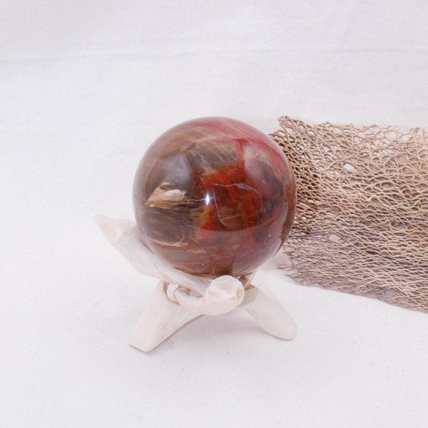 Petrified Wood Sphere - AAA Premium Quality、mySite、hinf8tx79