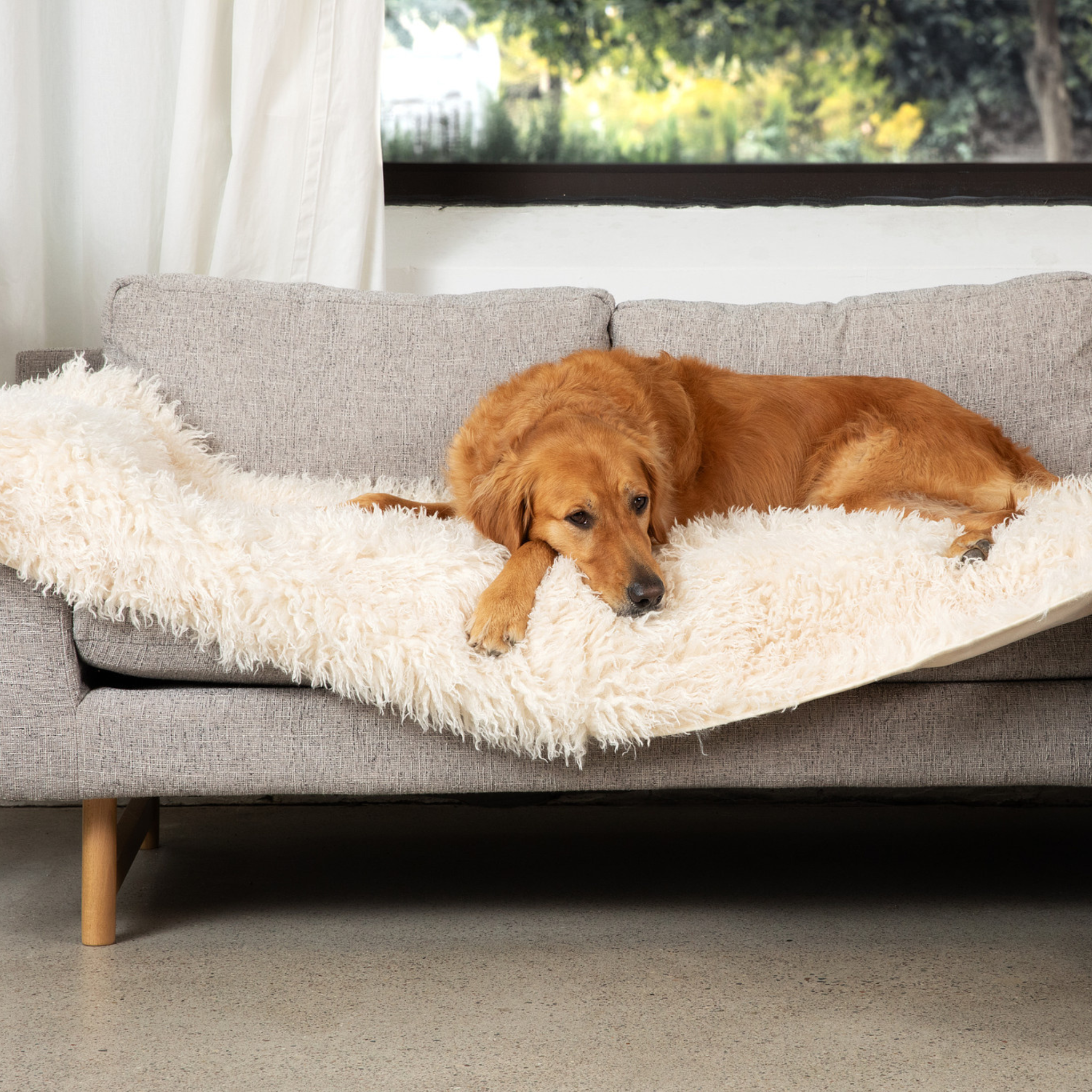 PupProtector™ Luxe Waterproof Bed Runner - Plush Sheep Ivory、mySite、solidvoid