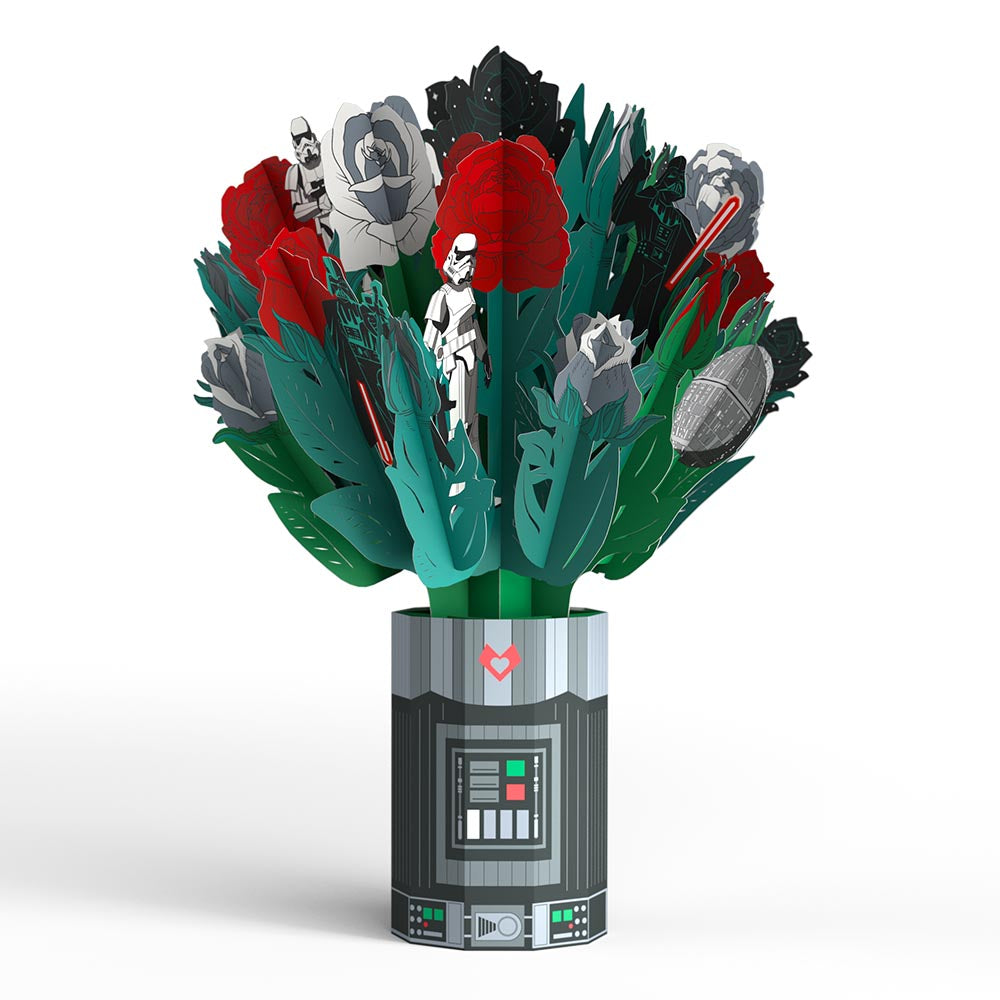 Star Wars™ Darth Vader™ Take My Breath Away Valentine Bundle、mySite、solidvoid