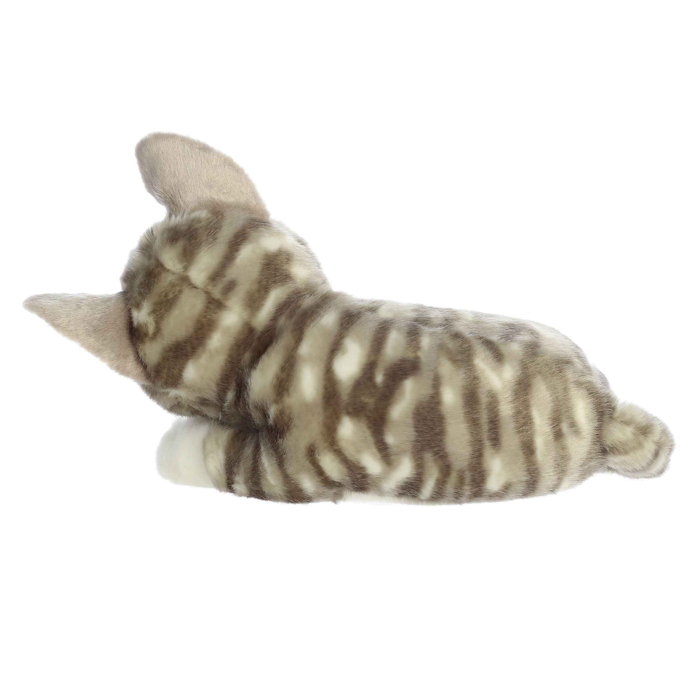 Aurora® - Miyoni® Tots - 10 Sleepy Tabby Kitten、mySite、g9winljtr