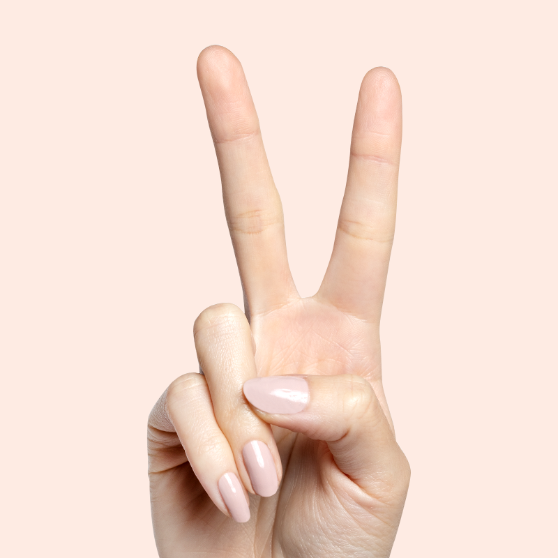 Kitten、mySite、solidvoid