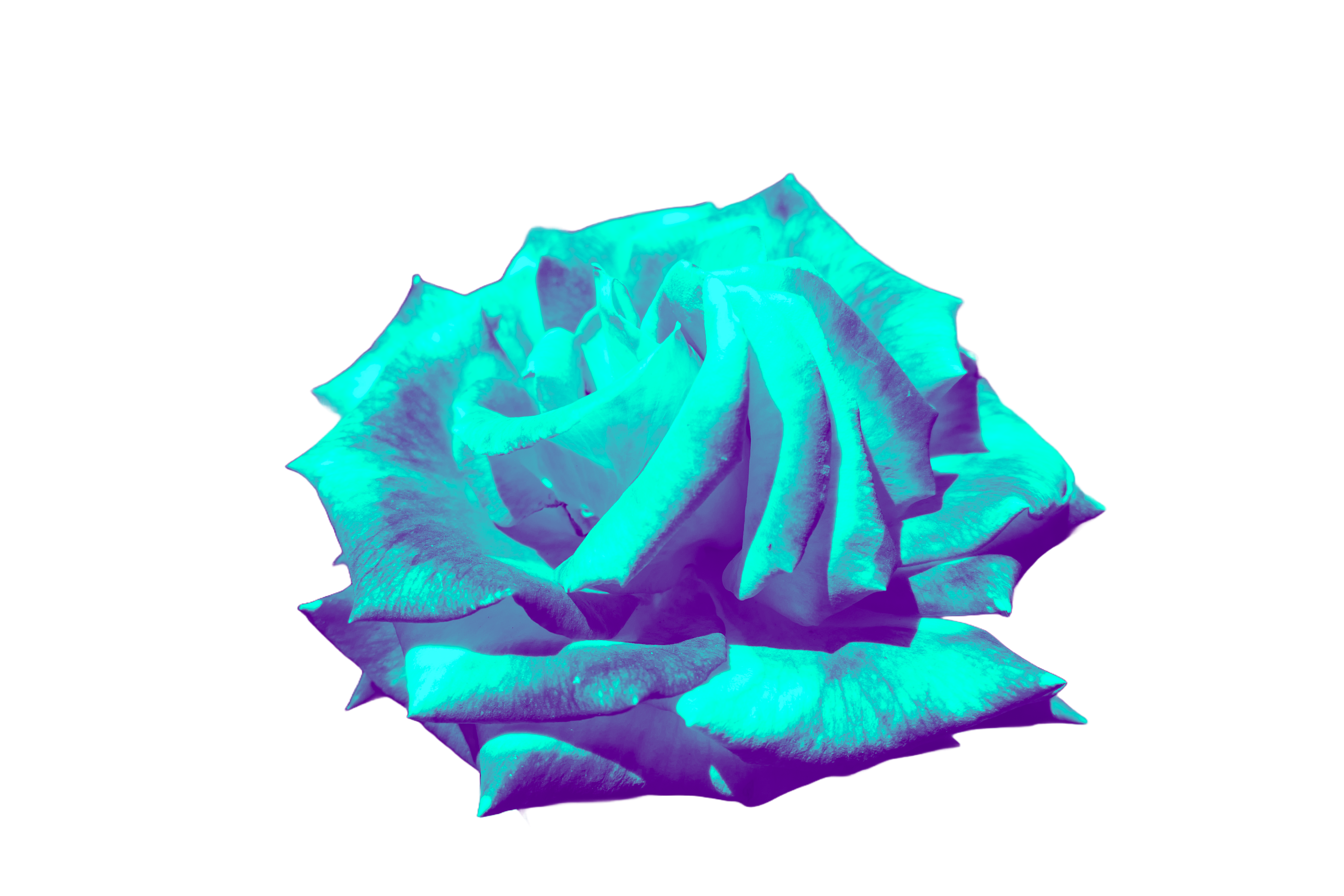  Clear Stickers、mySite、ghnorth