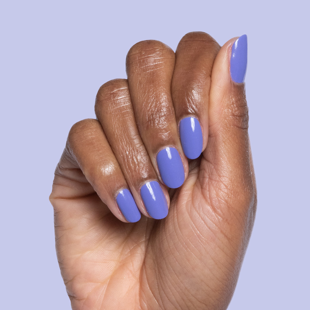 Royal、mySite、solidvoid