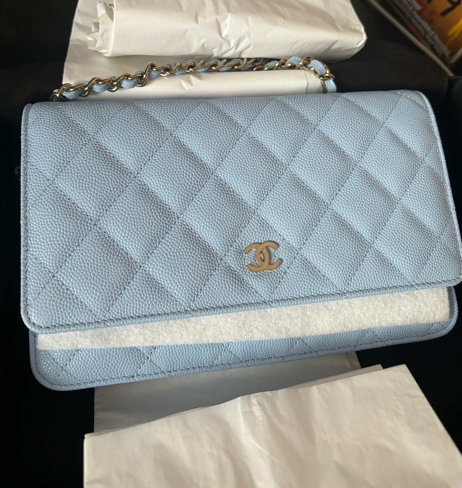 Chanel Wallet On Chain WOC Caviar Leather (Baby Blue)、mySite、garminoutage.com
