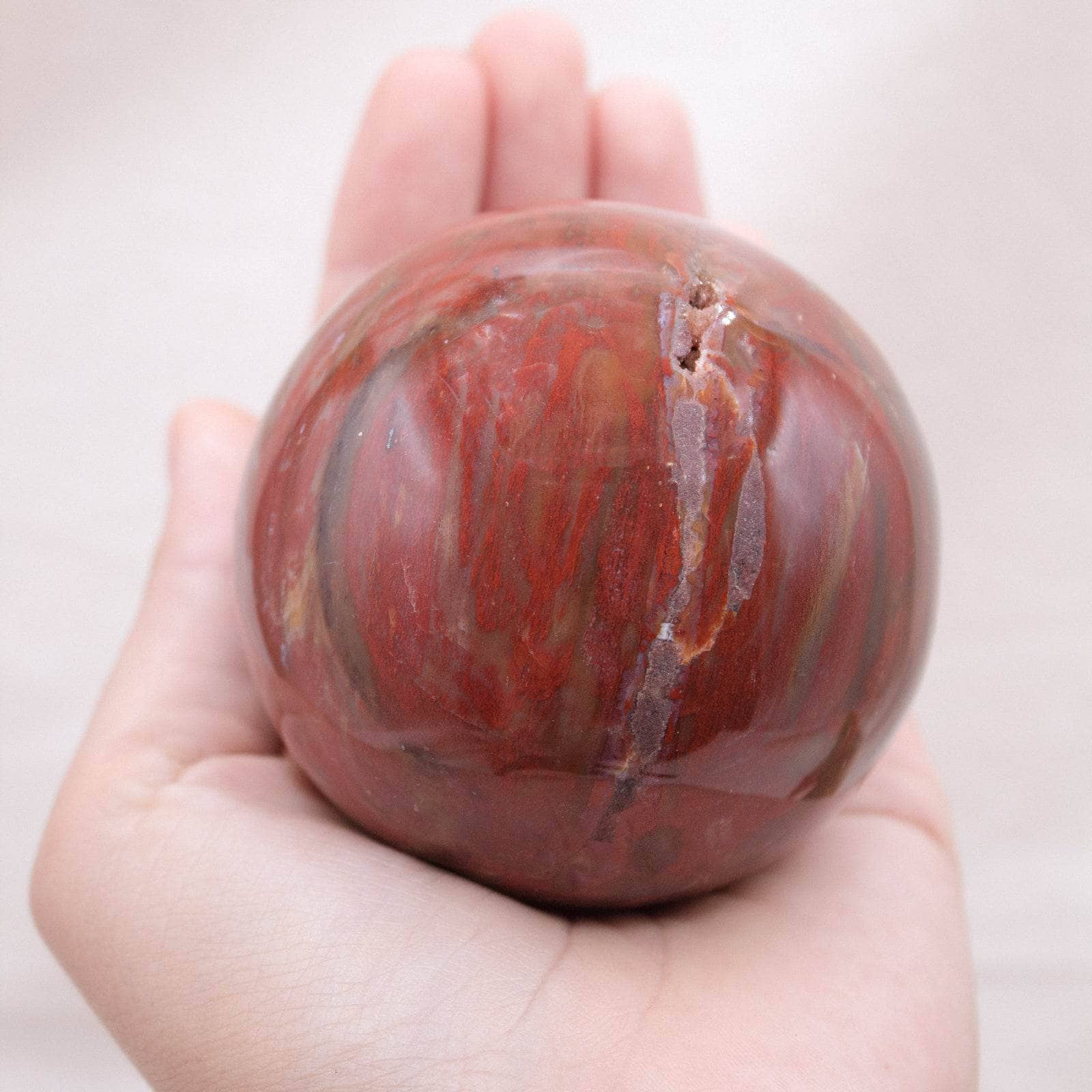 Petrified Wood Sphere - AAA Premium Quality、mySite、hinf8tx79