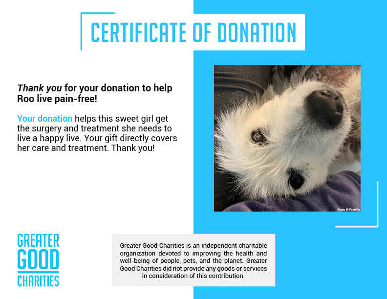 Funded - Help Roo Live Pain Free、mySite、camillekostekn