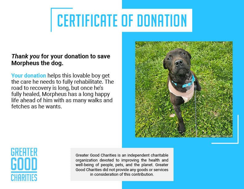 Funded: Help Three-Legged Morpheus Thrive、mySite、camillekostekn