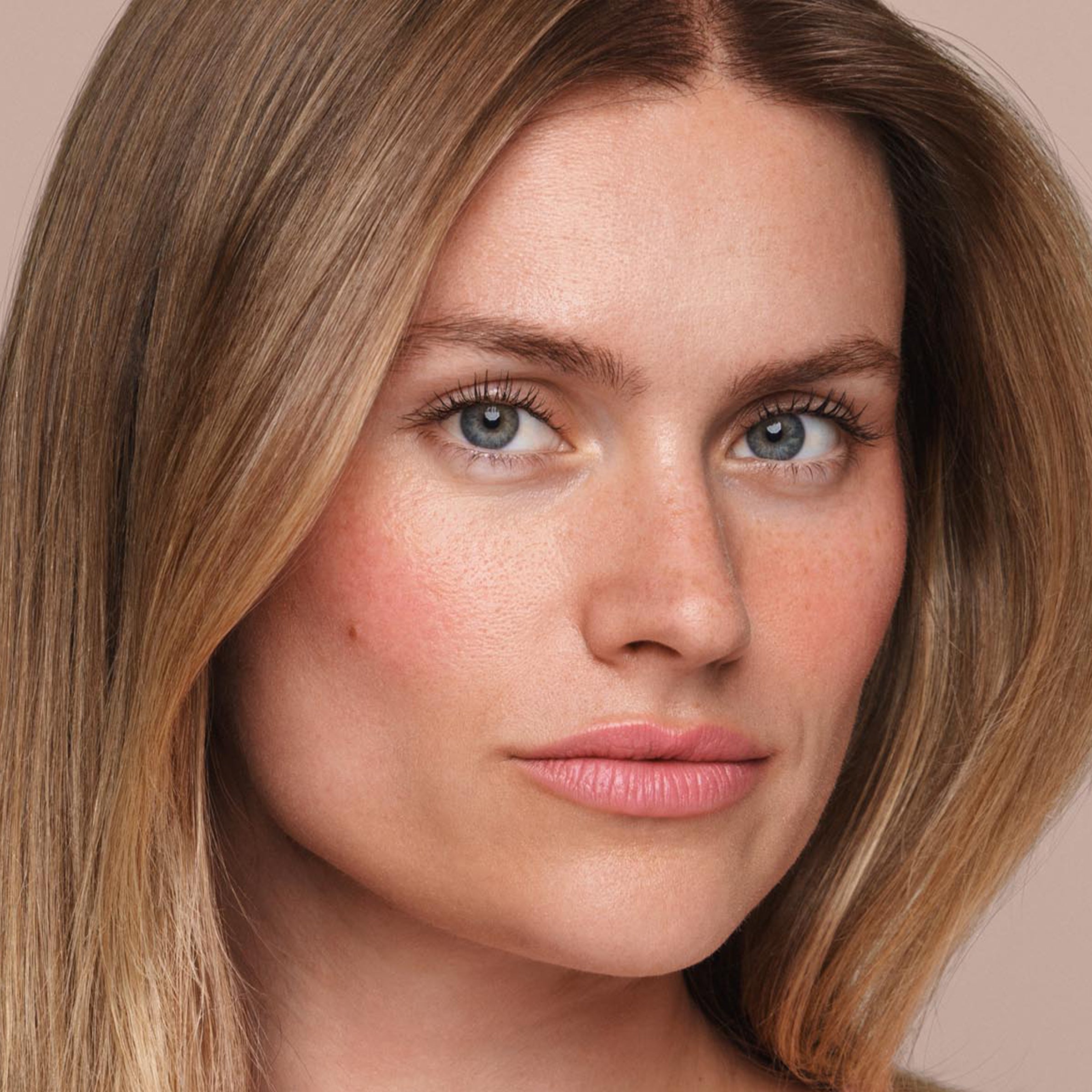  Bare Rose、mySite、ghnorth