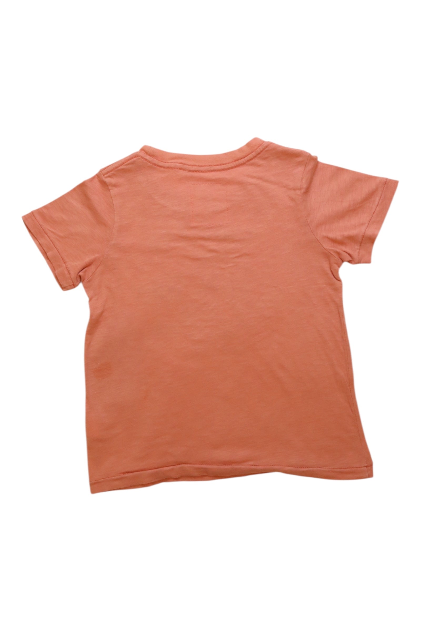 Gingersnaps Taco Bar Tee 6T、mySite、g9winljtr