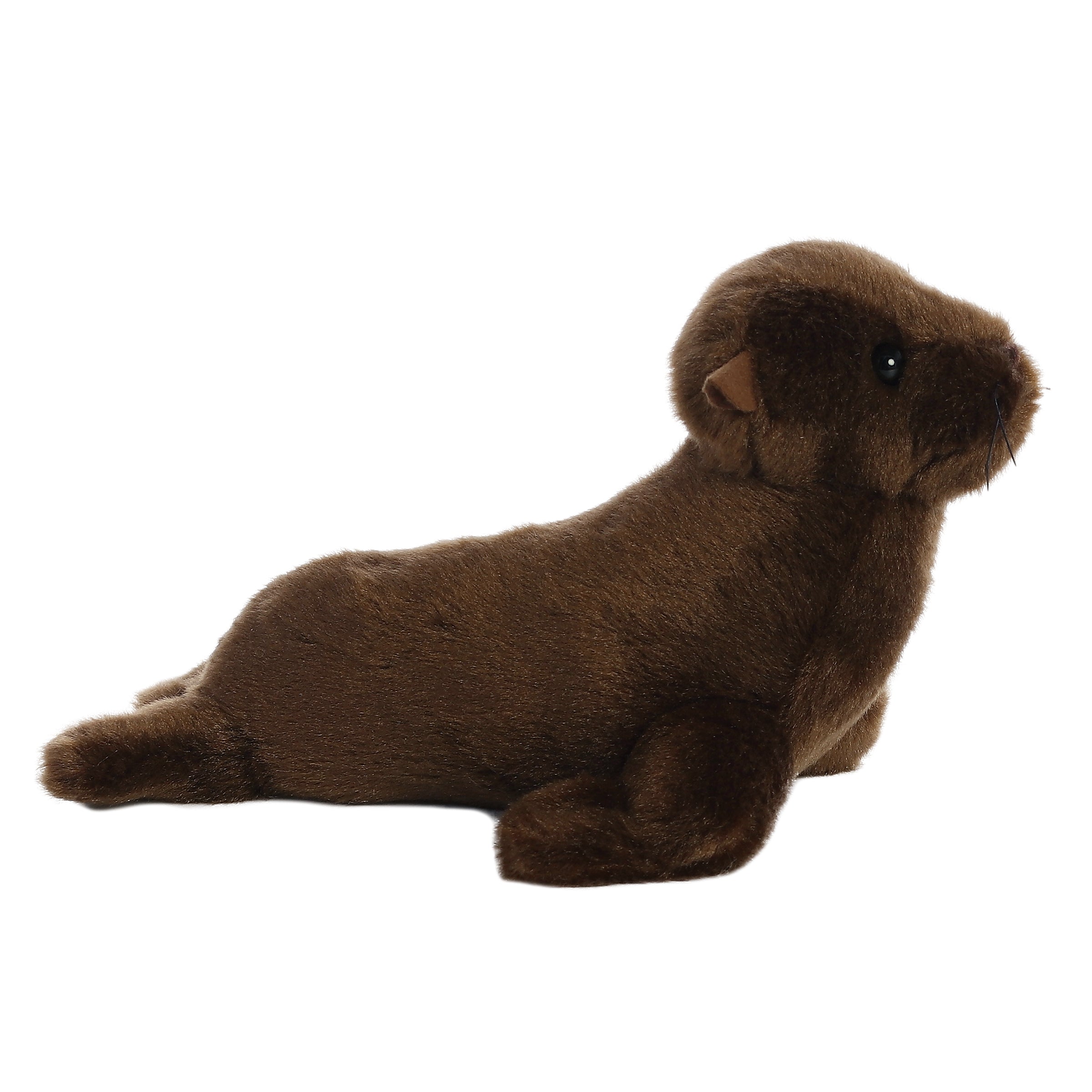 Aurora® - Mini Flopsie™ - 8 California Sea Lion、mySite、g9winljtr