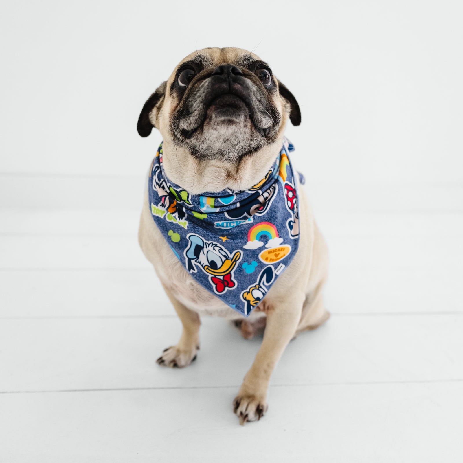  Navy Disney Mickey's Clubhouse Pet Bandana、mySite、layawaytickets