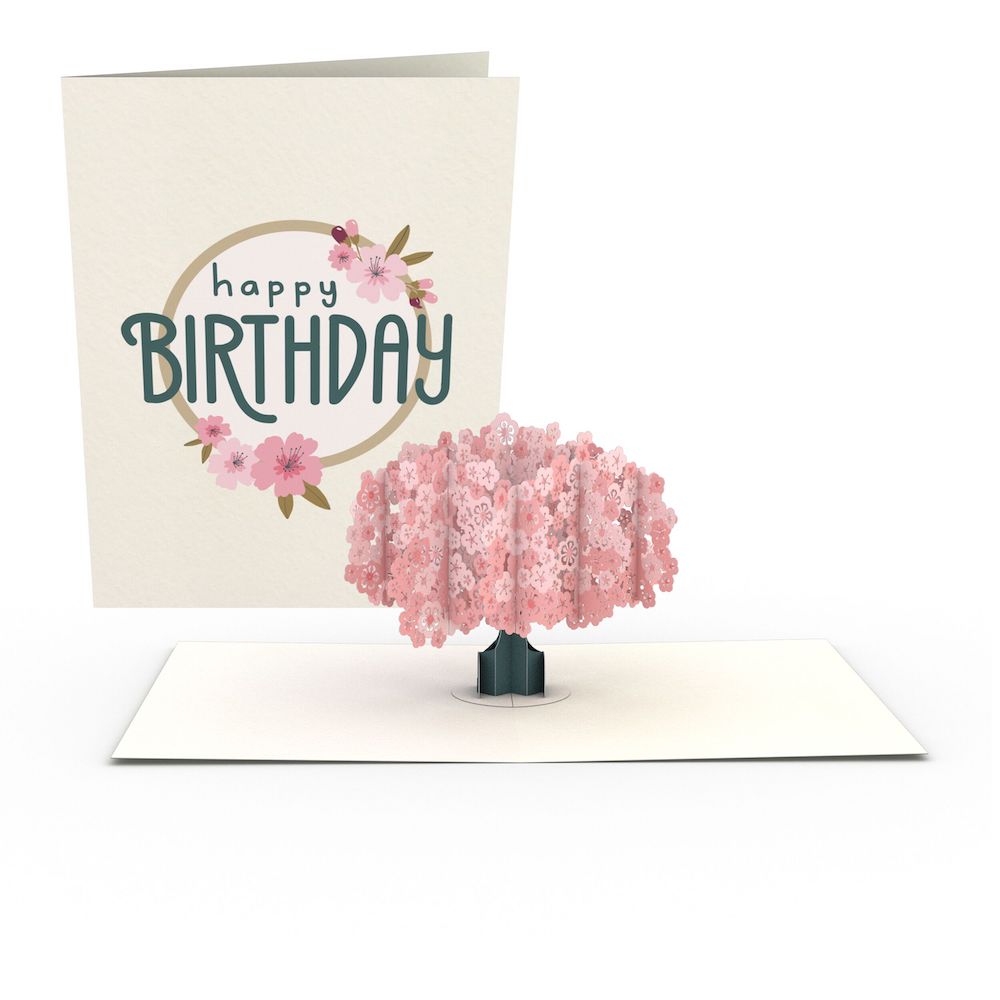 Birthday Garden Notecards (Assorted 4-Pack)、mySite、solidvoid