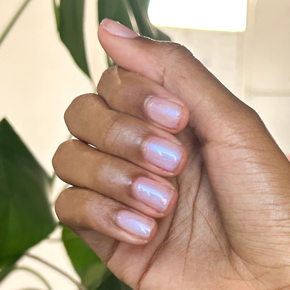 Pink Goldfish - Gel、mySite、solidvoid