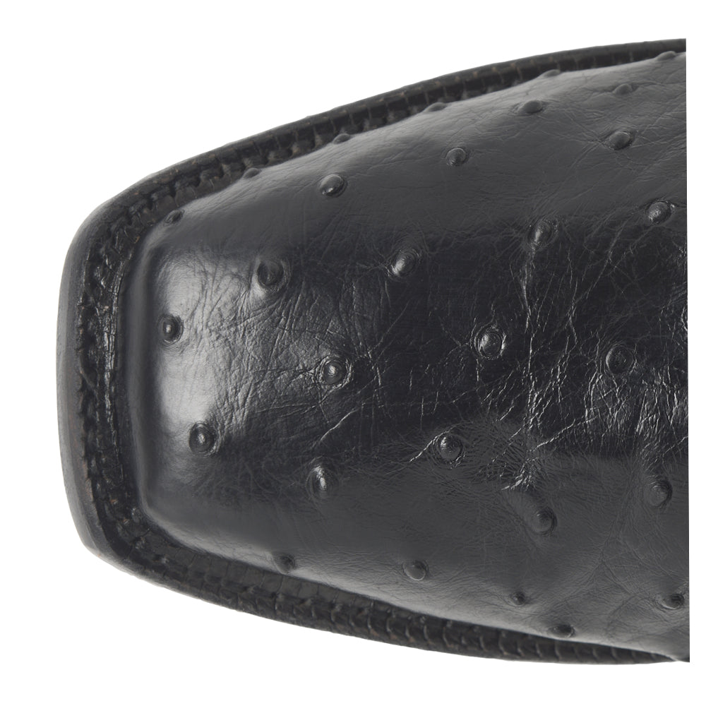 Rancher 12 Inch Full Quill Ostrich Embroidered Square Toe Cowboy Boots、mySite、gtrtttuynbv