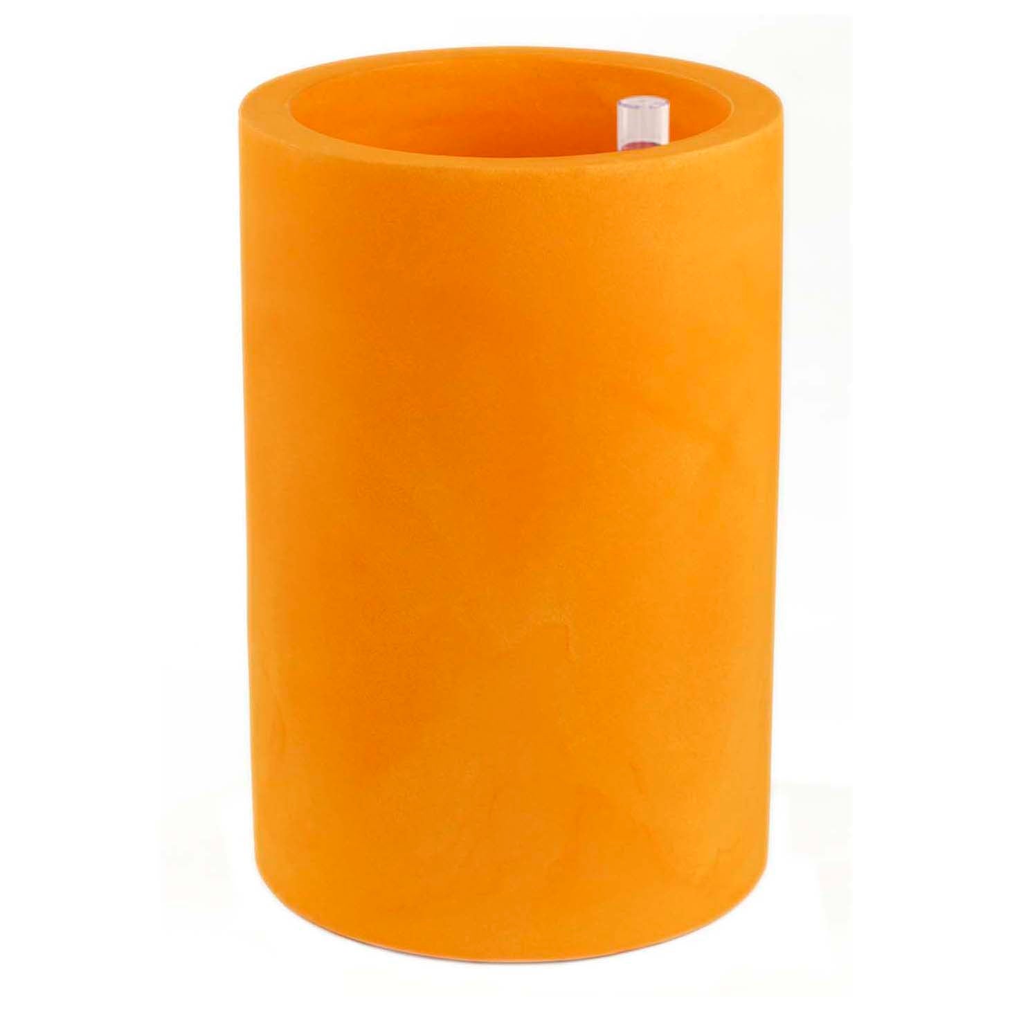  Cilindro Alto Planter、mySite、sugarbowlscore