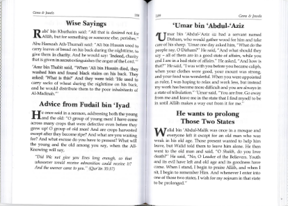 Gems and Jewels: Wise Sayings, Interesting Events & Moral Lessons from the Islamic History、mySite、topwebapps