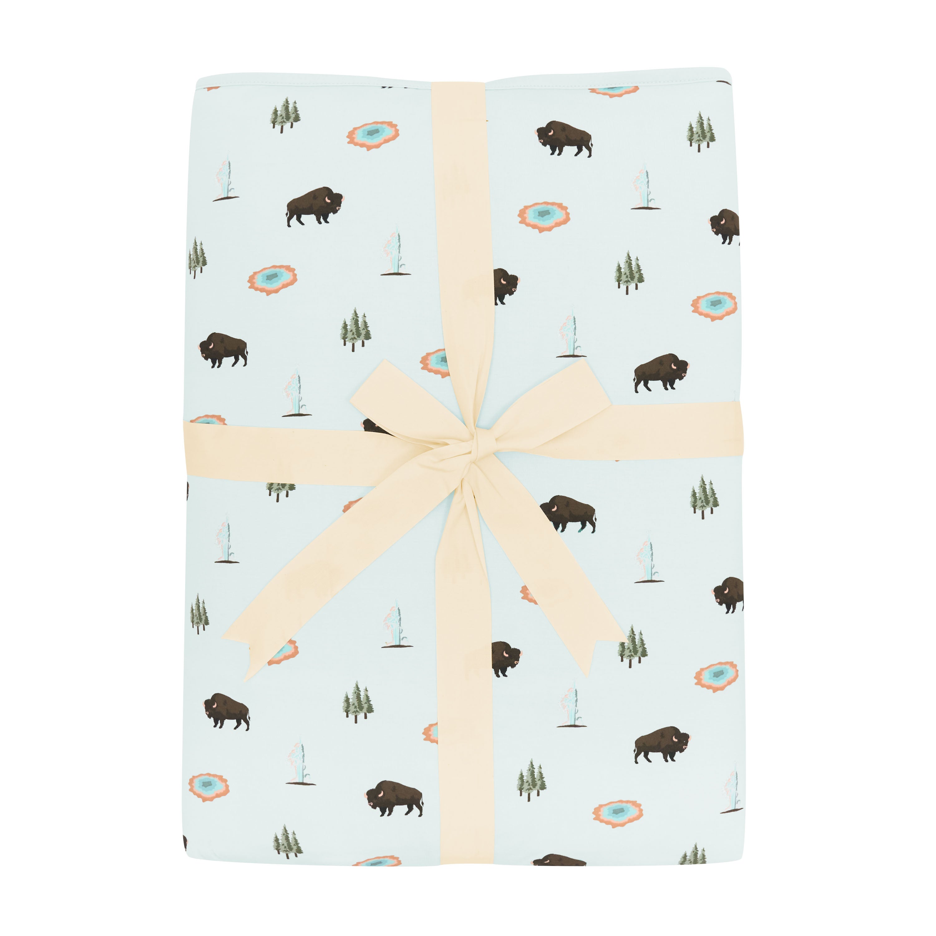  Youth Blanket in Yellowstone 2.5、mySite、layawaytickets