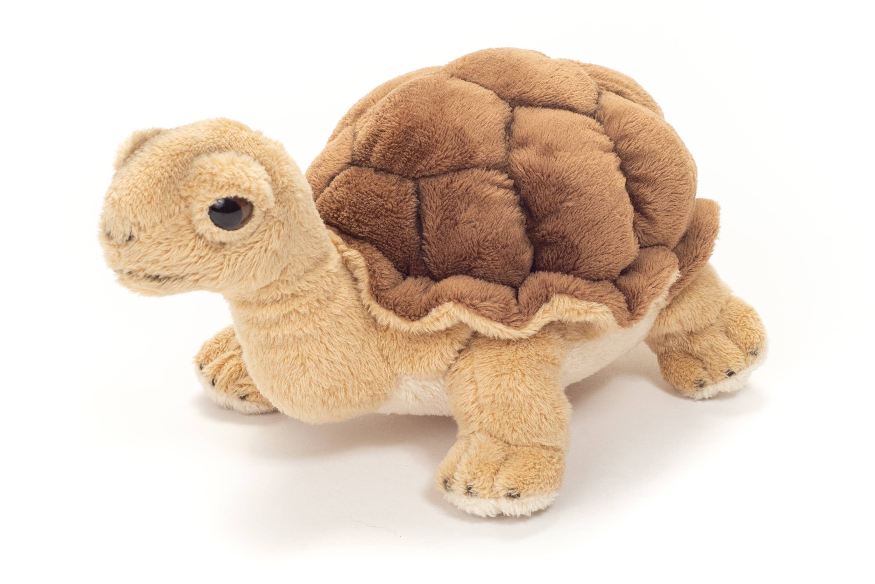 Realistic Plush Small Tortoise 20 cm - plush toy by Teddy Hermann、mySite、g9winljtr