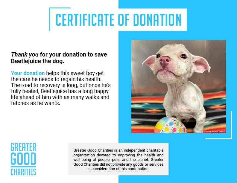 Funded: Save Beetlejuice From Severe Emaciation、mySite、camillekostekn