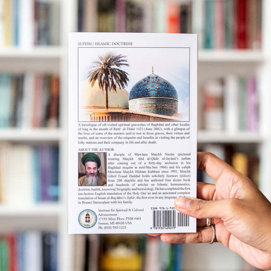 The Visitations of Iraq to the Stations of Interlife、mySite、topwebapps