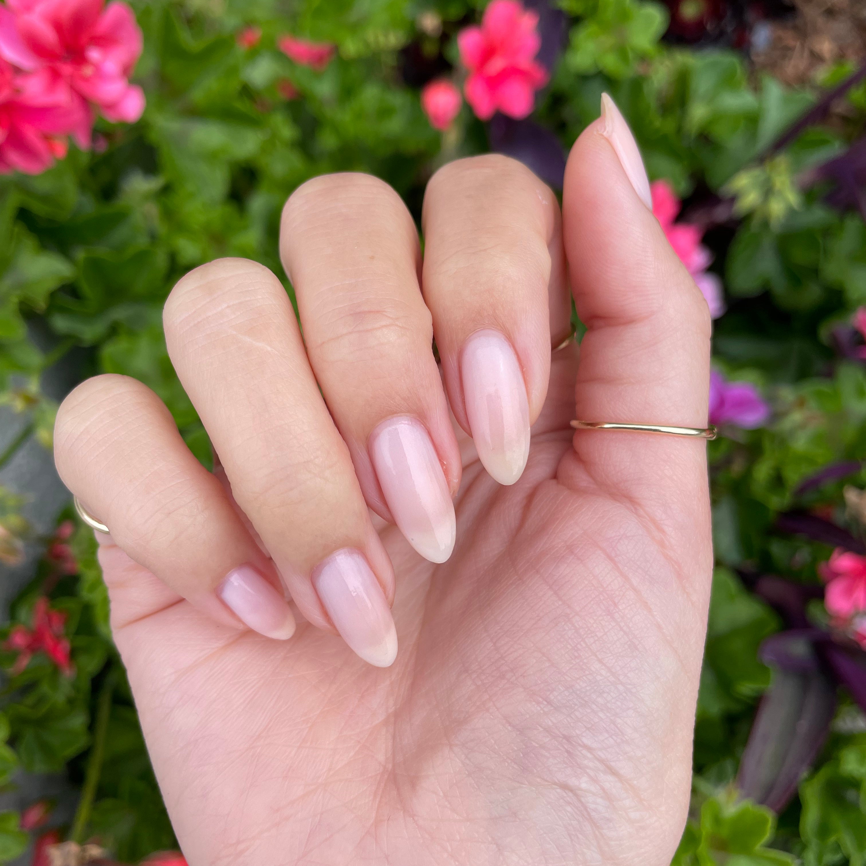 Mother of Pearl、mySite、solidvoid