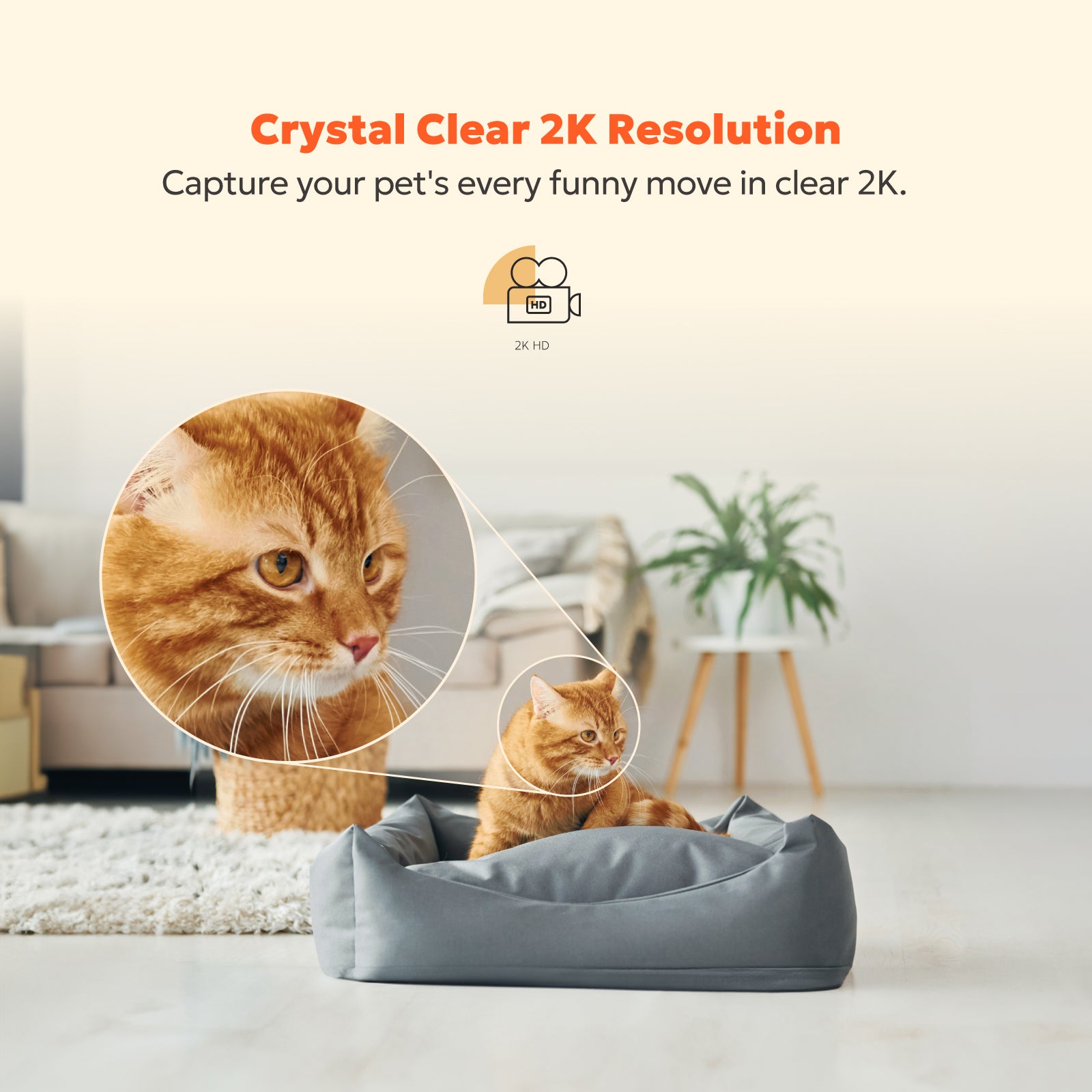 2K Indoor Camera - W1 (Wired)、mySite、fannypackpong