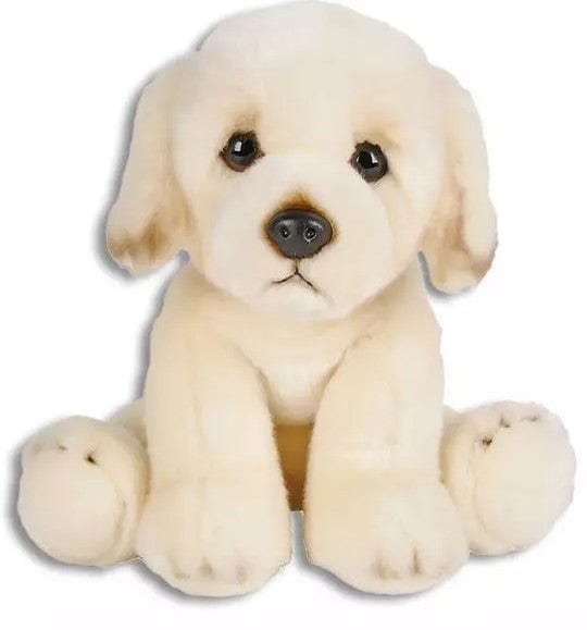 Golden Retriever Large Size Super Soft and CUTE! Buttersoft Collection、mySite、g9winljtr