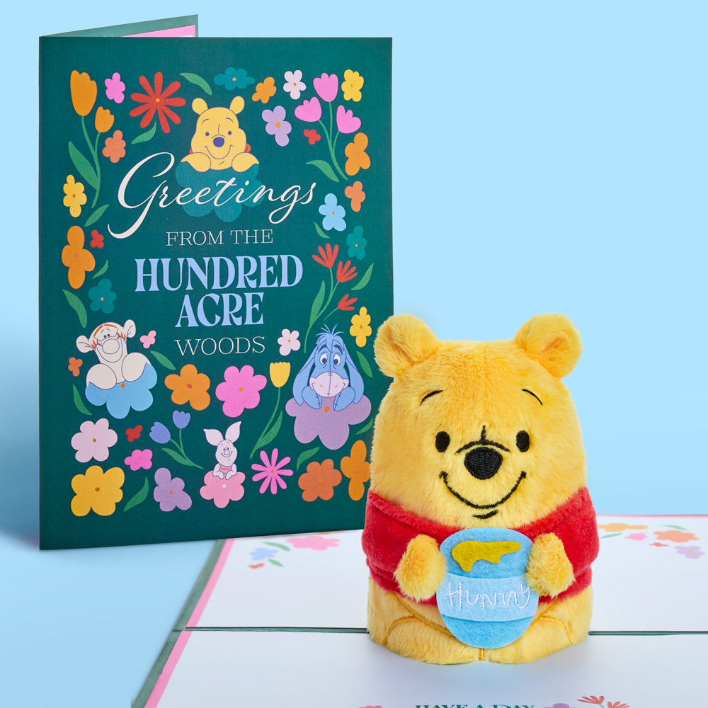 Disney’s Winnie the Pooh Plushpop Card & Flower Buds Bouquet Bundle、mySite、solidvoid