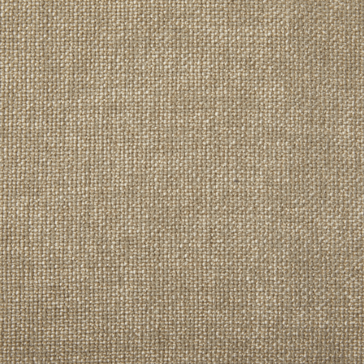 Grade G: Bellamy Oatmeal、mySite、neckold