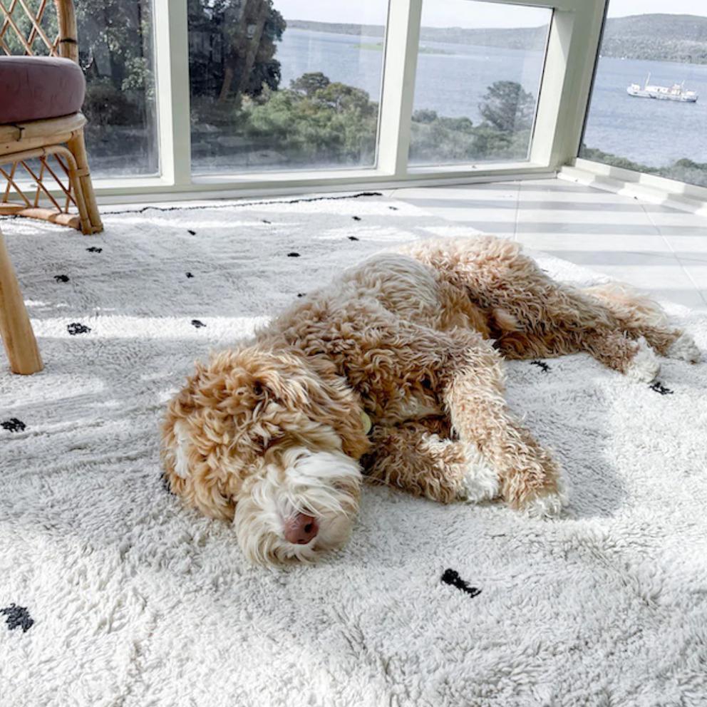 Cotton Berber Going Dotty Black Washable Area Rug、mySite、gigharbornorthrealestate