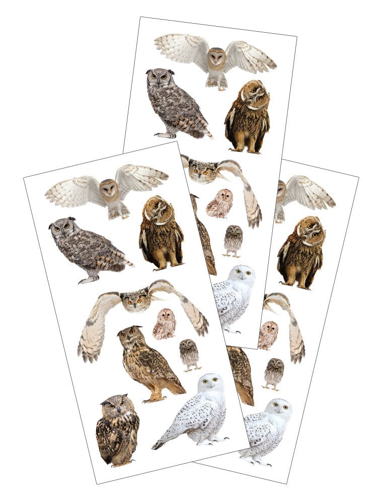  Decorative Stickers - Owls Photographic、mySite、ghnorth