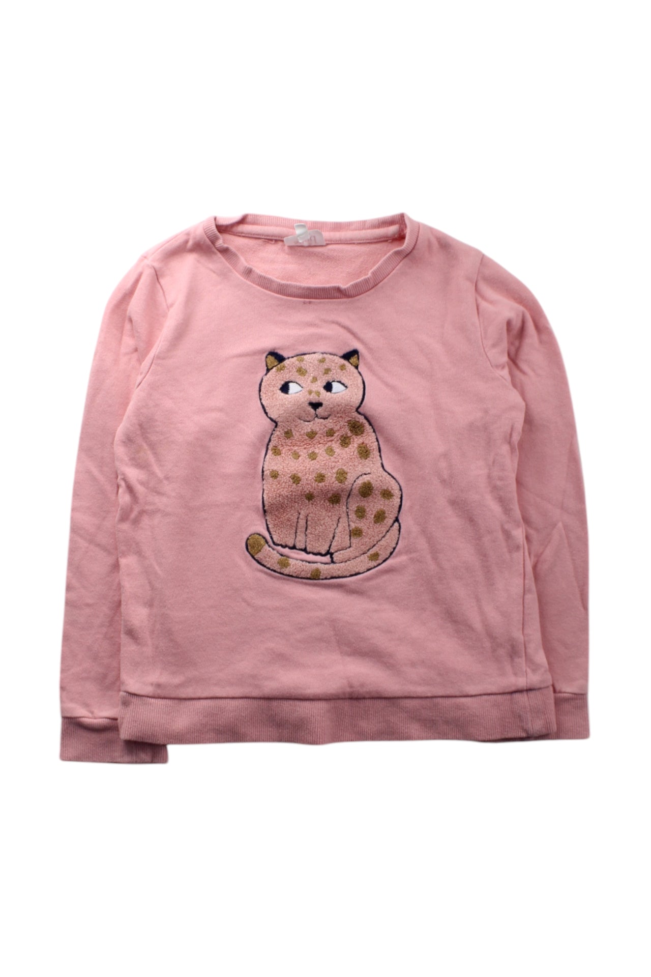 Seed Cat Sweatshirt, Size 8Y、mySite、g9winljtr