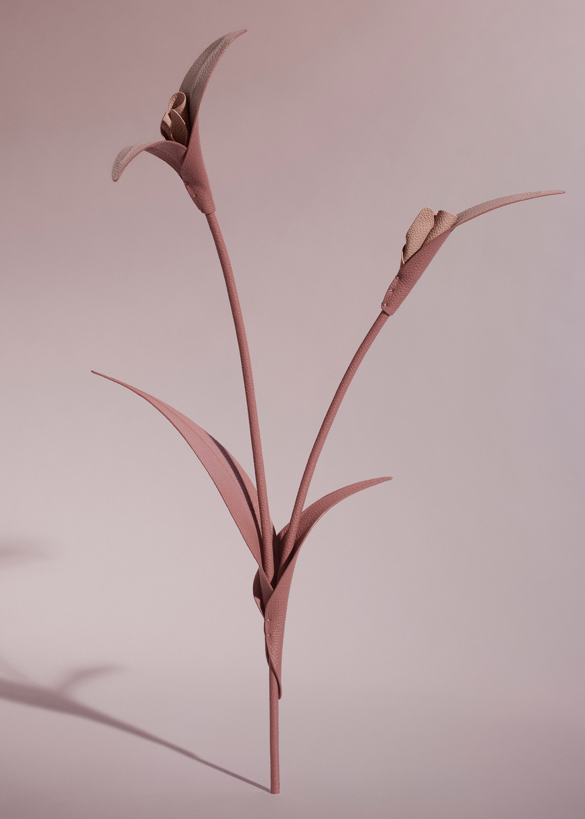 Fleur Touka - Trio Blush Grain茅、mySite、camillekostekn