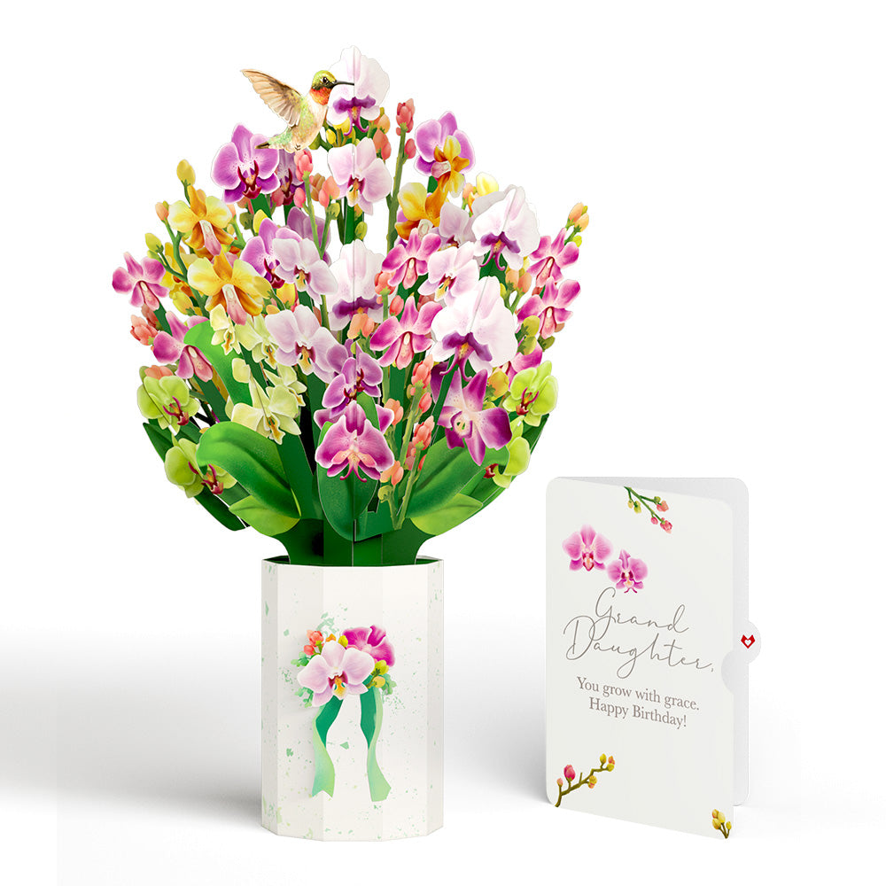 Orchid Birthday Bouquet and Sentiment Set for Granddaughter、mySite、solidvoid