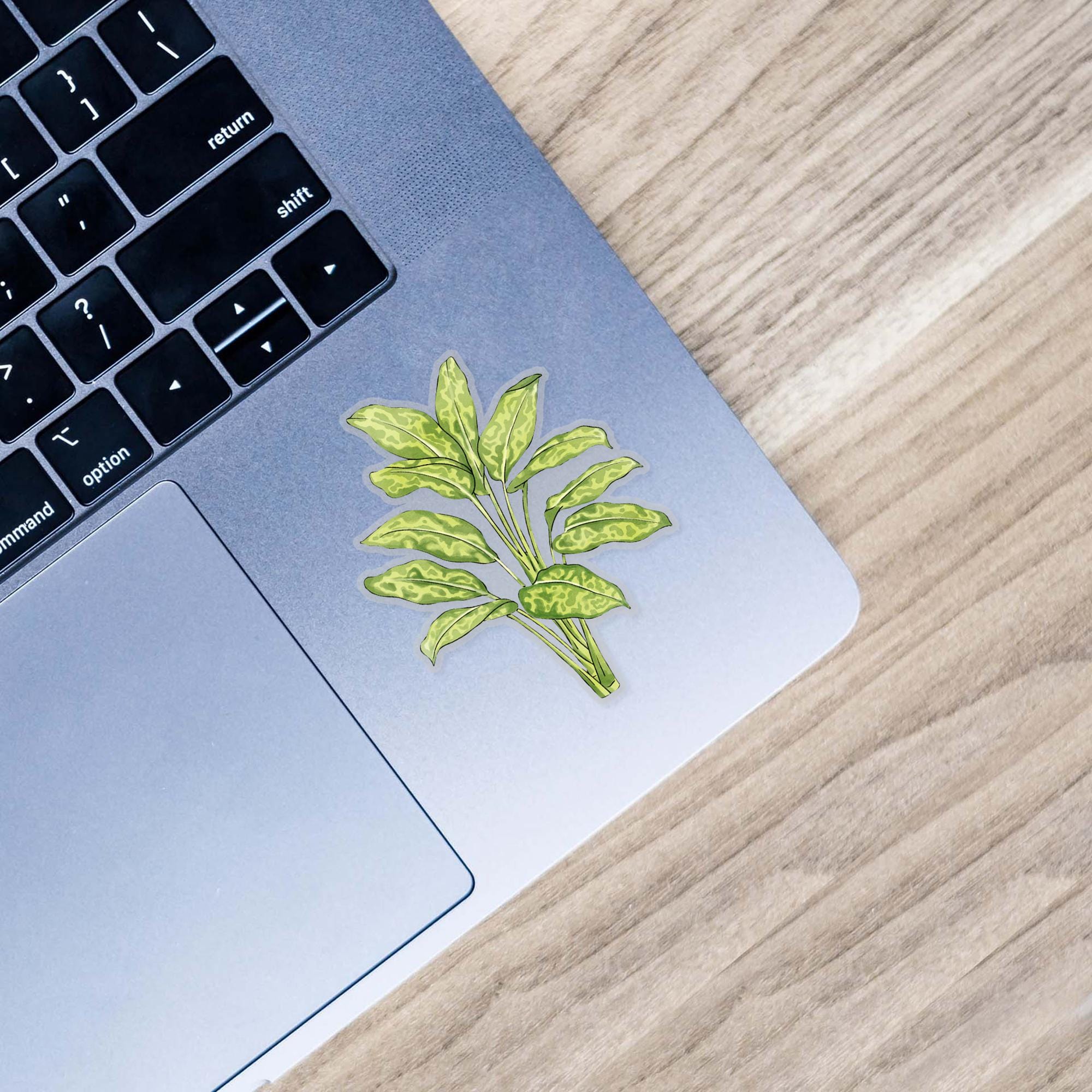  Dumb Cane - Botanical Clear Sticker、mySite、ghnorth