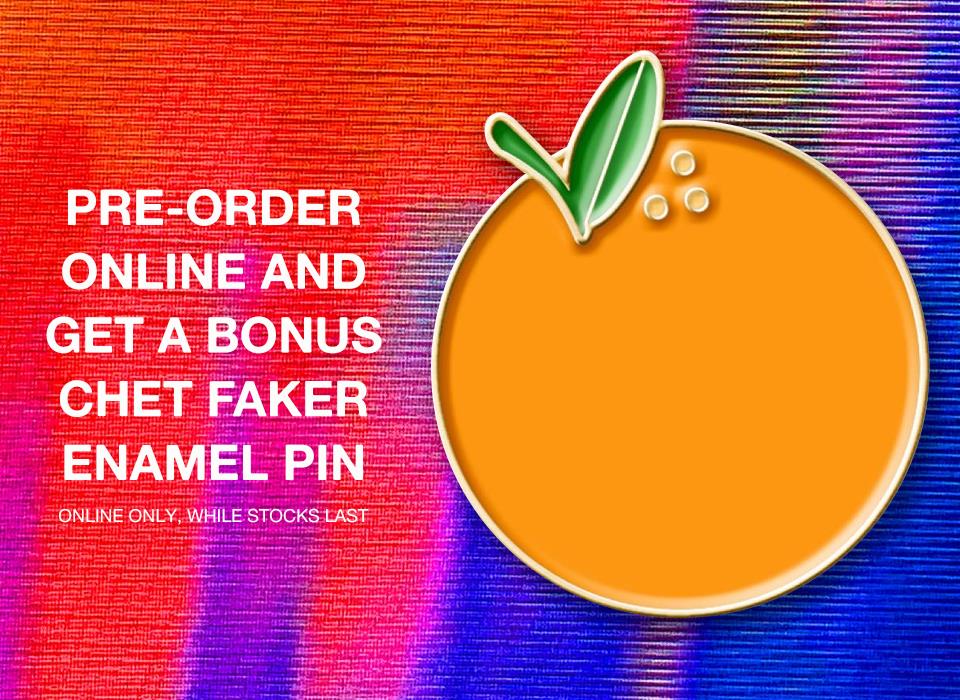 Hotel Surrender (Vinyl)、mySite、camillekostekn