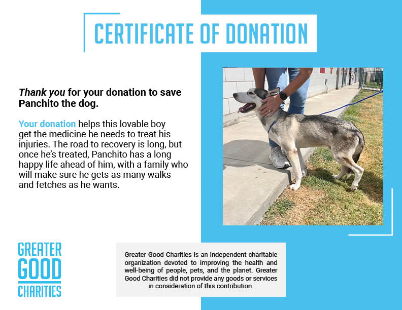 Funded-Help Heal Panchito’s Injured Hip、mySite、camillekostekn