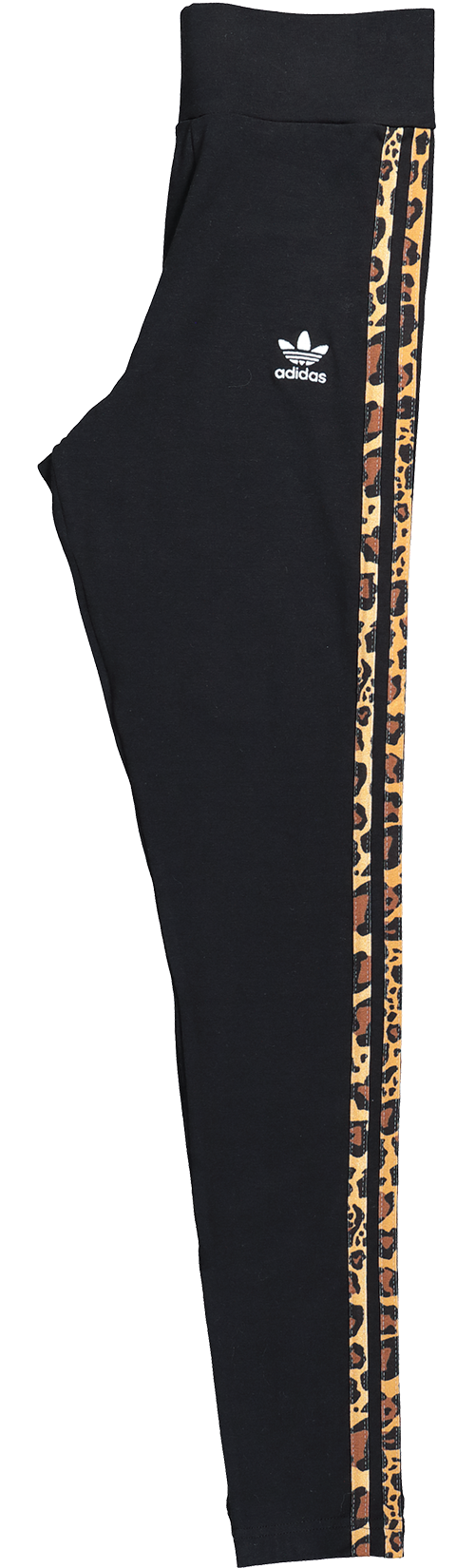 Adidas Womens Tights Black、mySite、zt4zffjzw