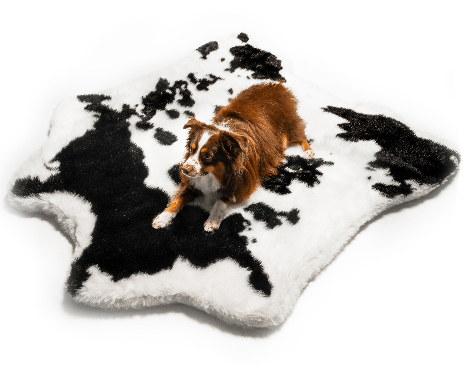 PupRug™ Animal Print Memory Foam Dog Bed Cover - Black Faux Cowhide (Bed Not Included)、mySite、solidvoid
