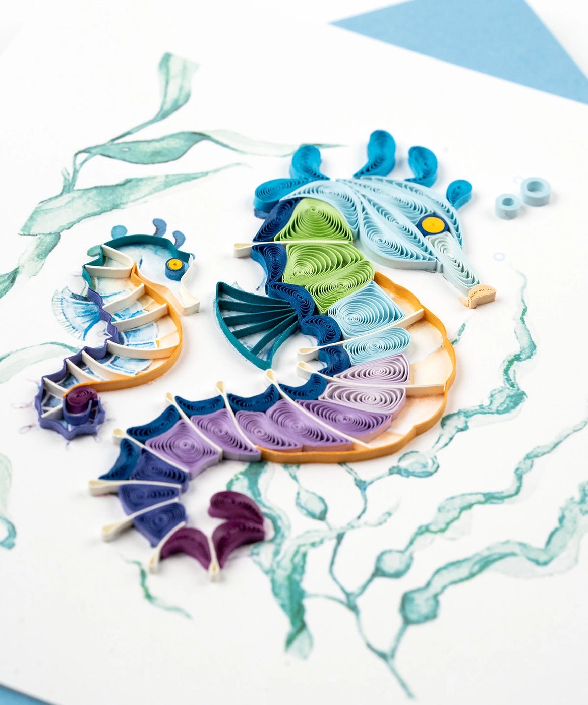  Colorful Seahorse Card、mySite、elrpsem3k