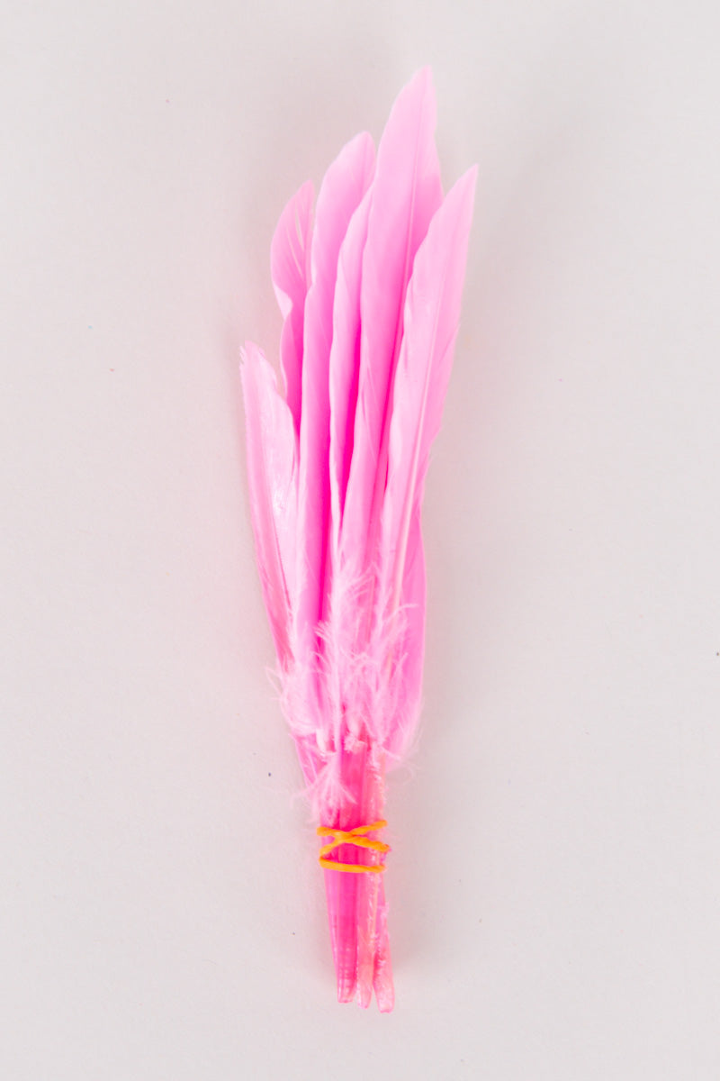 Mini Goose Feathers Bundle of 6- Orange Rubber Band - FINAL SALE、mySite、hinf8tx79