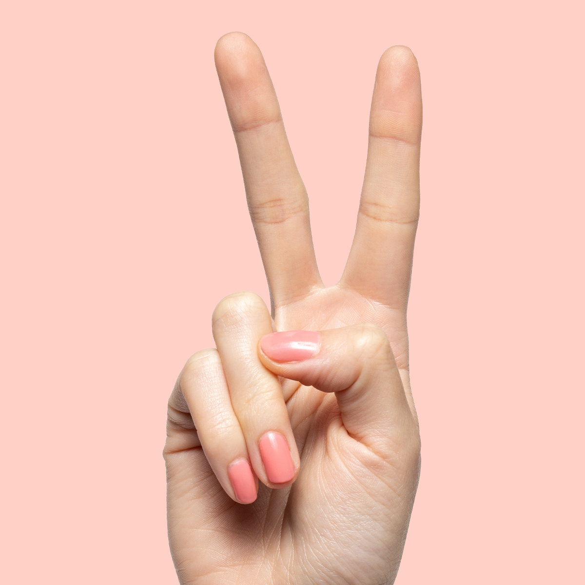 Papaya Gloss、mySite、solidvoid