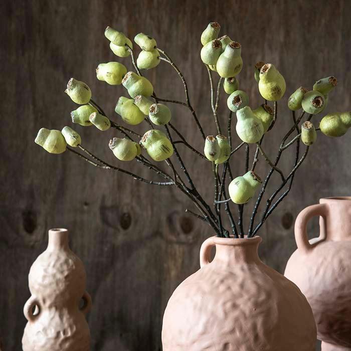  Eucalyptus Gum Nut Stem、mySite、elrpsem3k