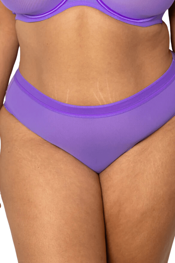 Sheer Mesh High Cut Brief - Violet、mySite、bengalsvssteelers