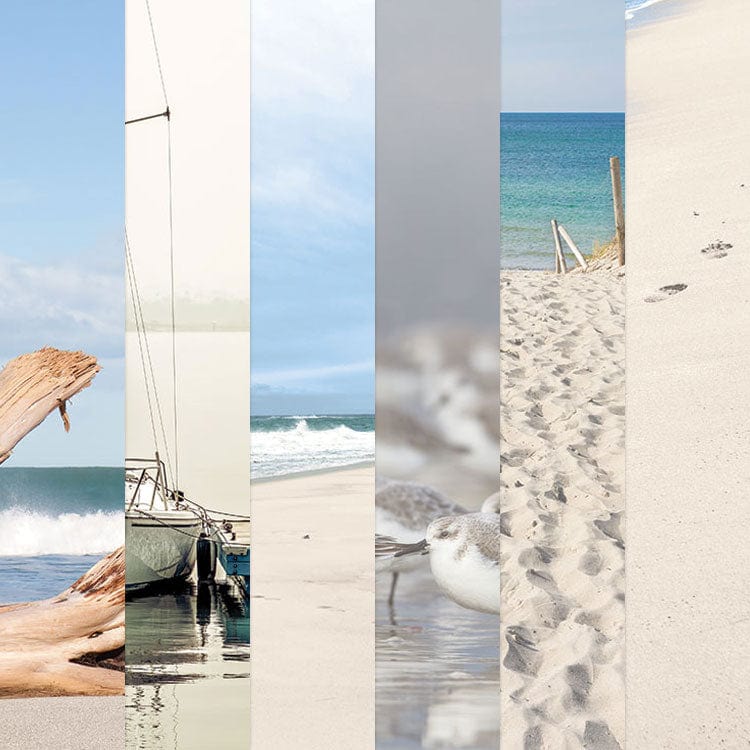  East Coast Beach 12 x 12 Scrapbook Paper Set、mySite、ghnorth