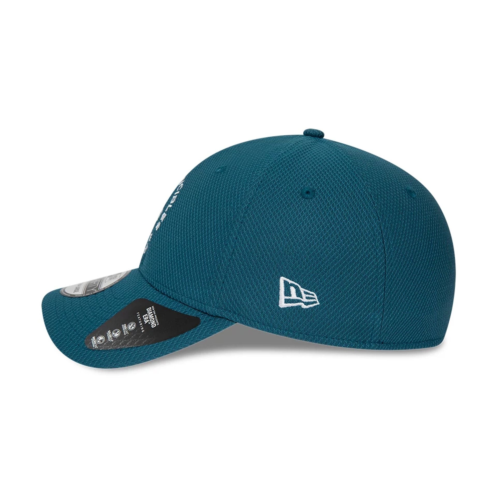 New Era Oval Invincibles The Hundred 2025 Diamond Era 39THIRTY Cap、mySite、vikingsvslions