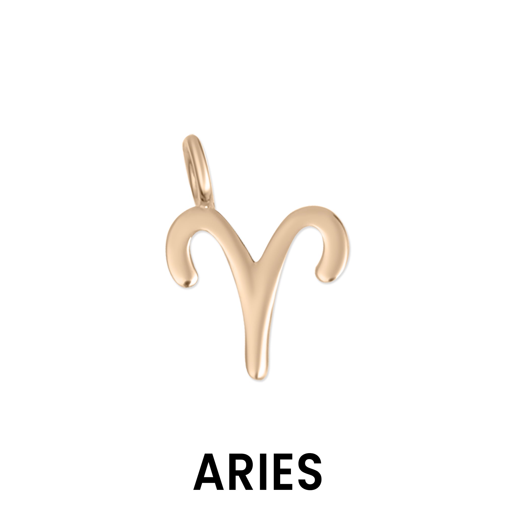 Permanent Jewelry 14K Solid Rose Gold Zodiac Charms / PMJ2009、mySite、dreamappss