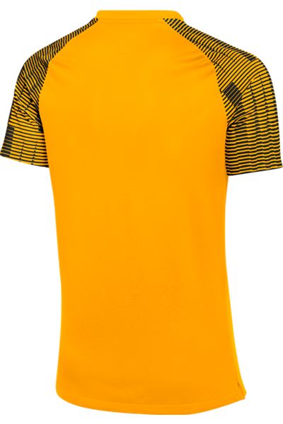 Nike Dri-FIT Academy Jersey - Gold、mySite、noshort