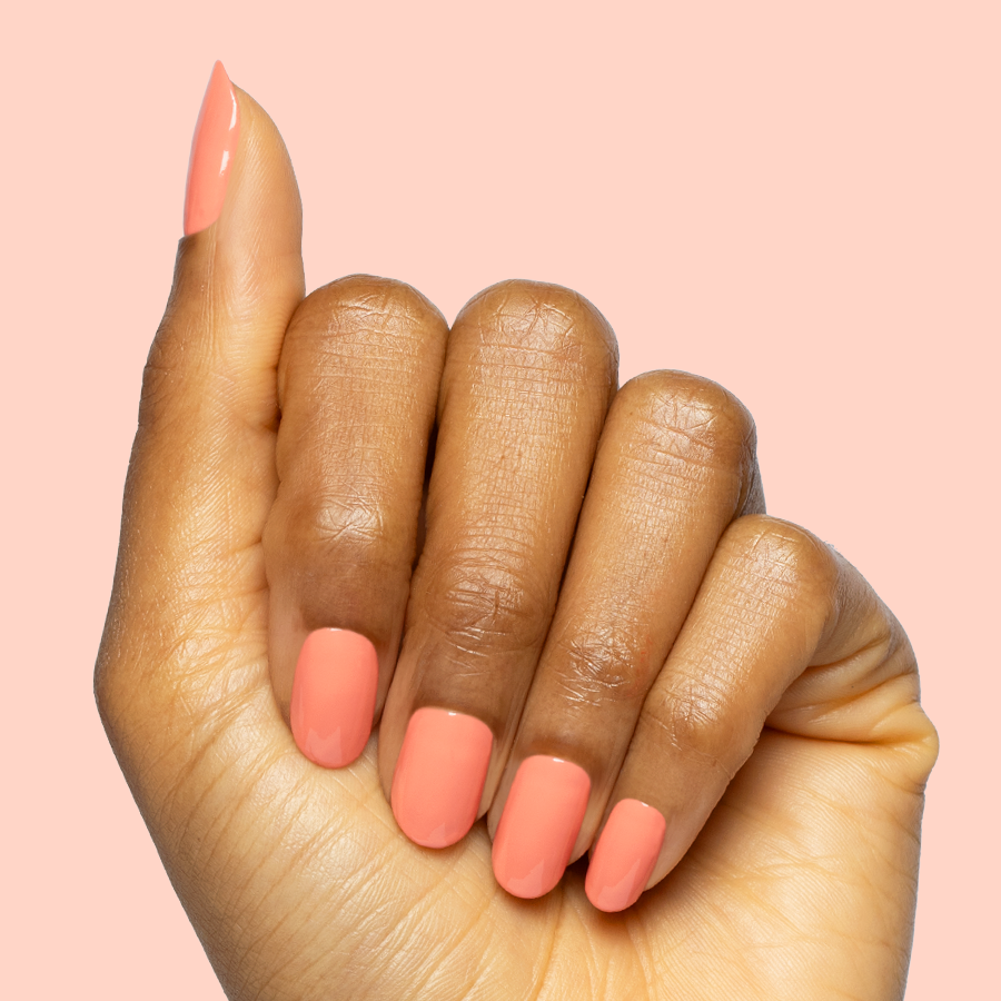 Frolic、mySite、solidvoid